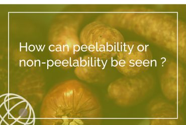 How can peelability or non-peelability be seen ?